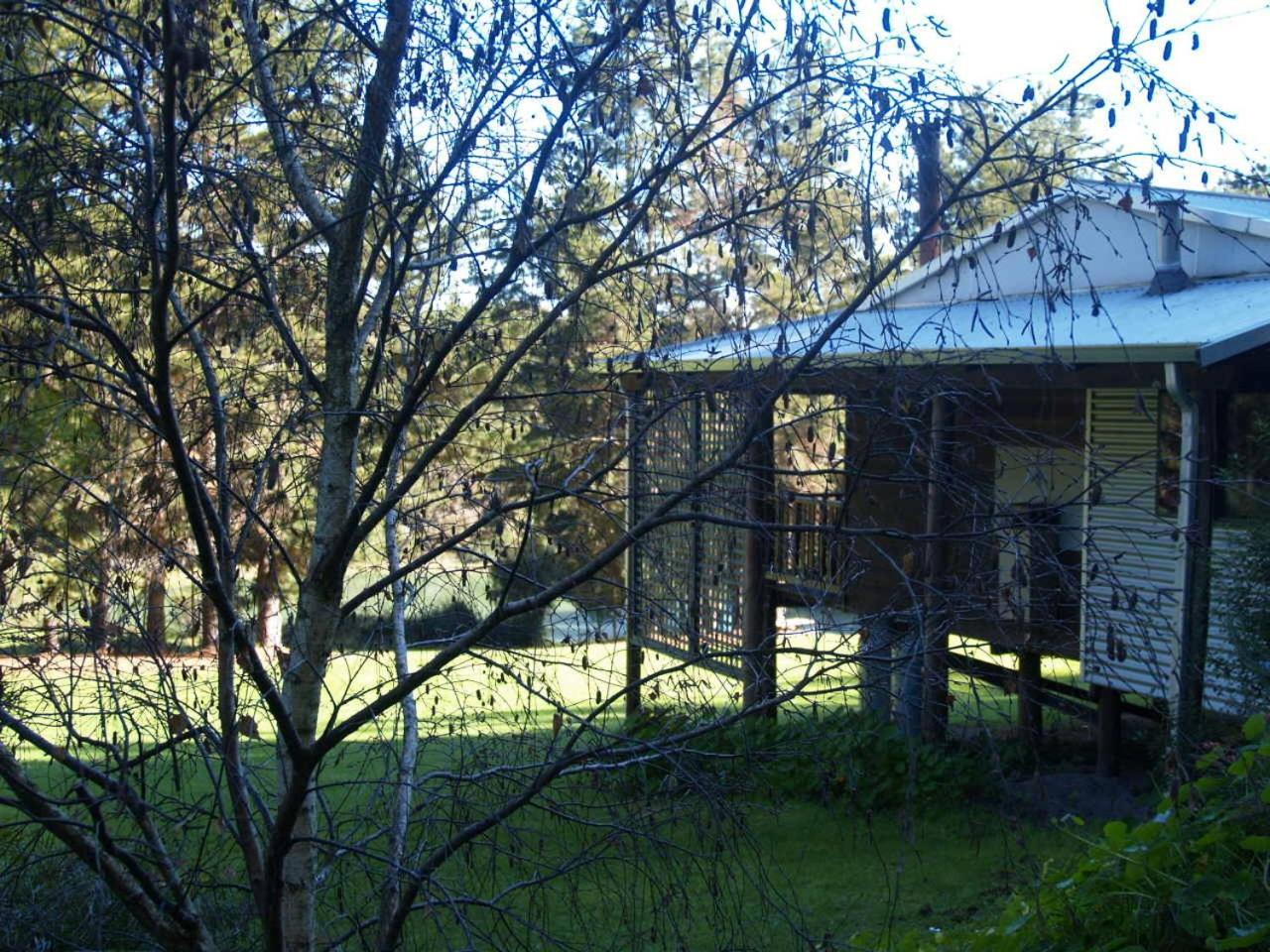 Hawke Brook Chalets Pemberton Dış mekan fotoğraf