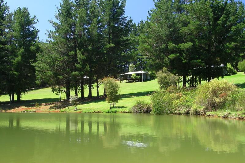 Hawke Brook Chalets Pemberton Dış mekan fotoğraf