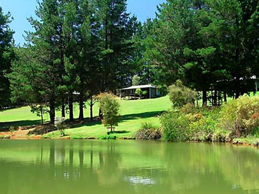 Hawke Brook Chalets Pemberton Dış mekan fotoğraf